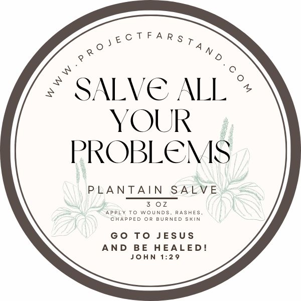 Plantain Salve - 3 oz