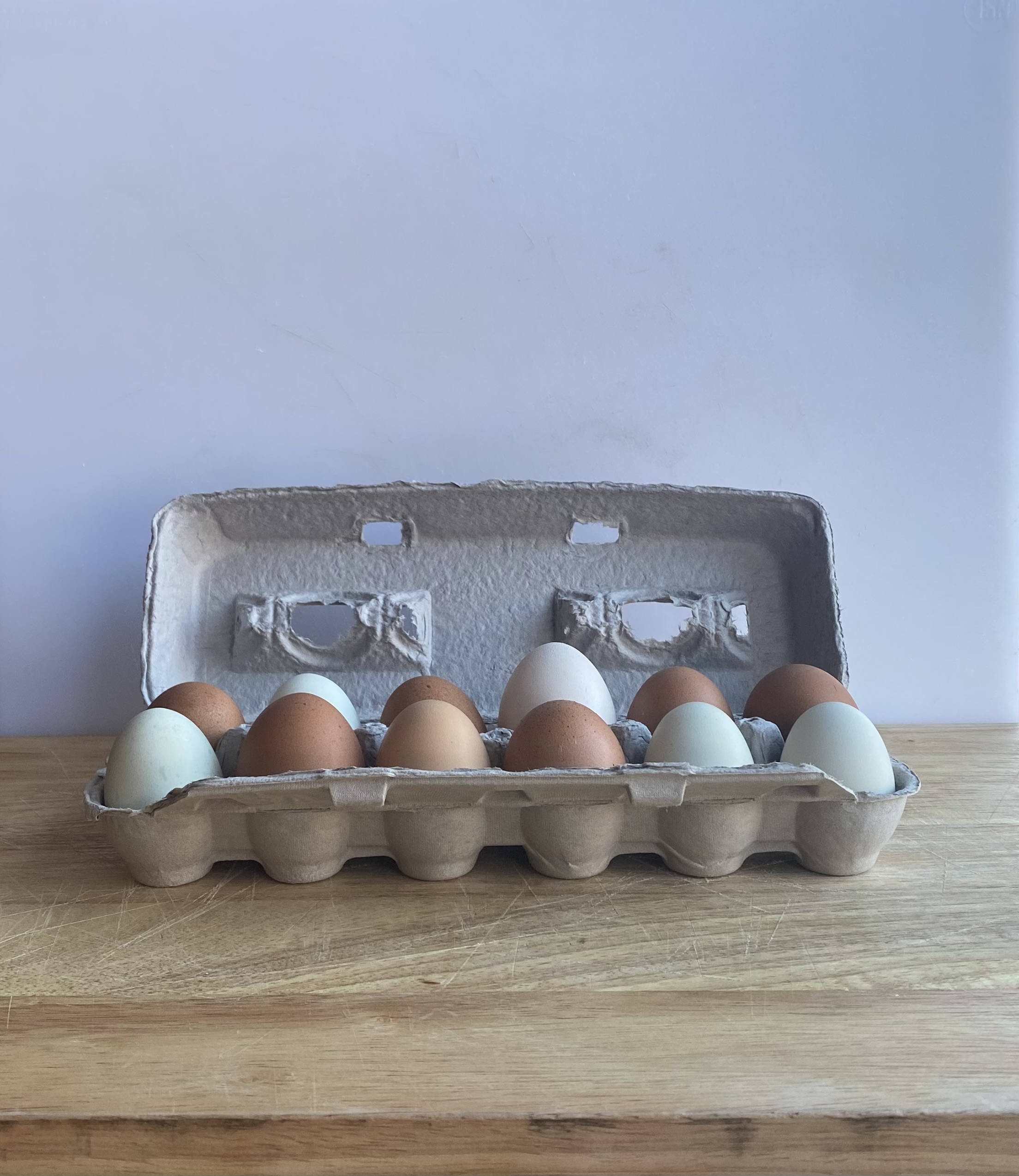 1 Dozen Pasture Raised Chicken Eggs
