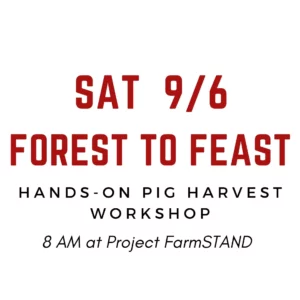 Forest to Feast: 09/06/25