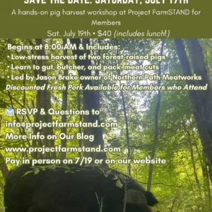 Forest to Feast: 07/19/25